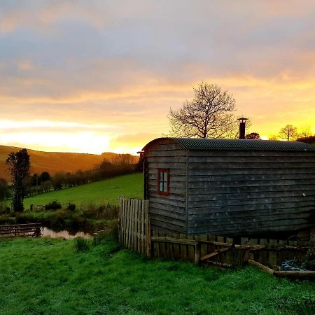 Foxglove Accommodation Craven Arms Esterno foto