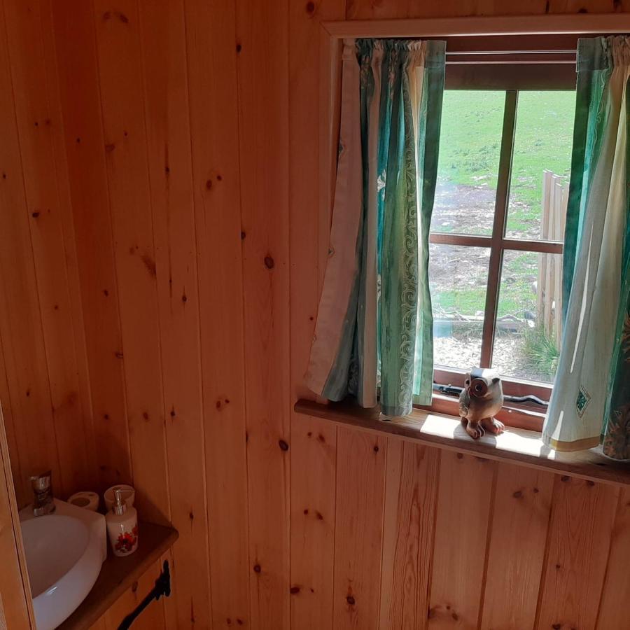 Foxglove Accommodation Craven Arms Esterno foto