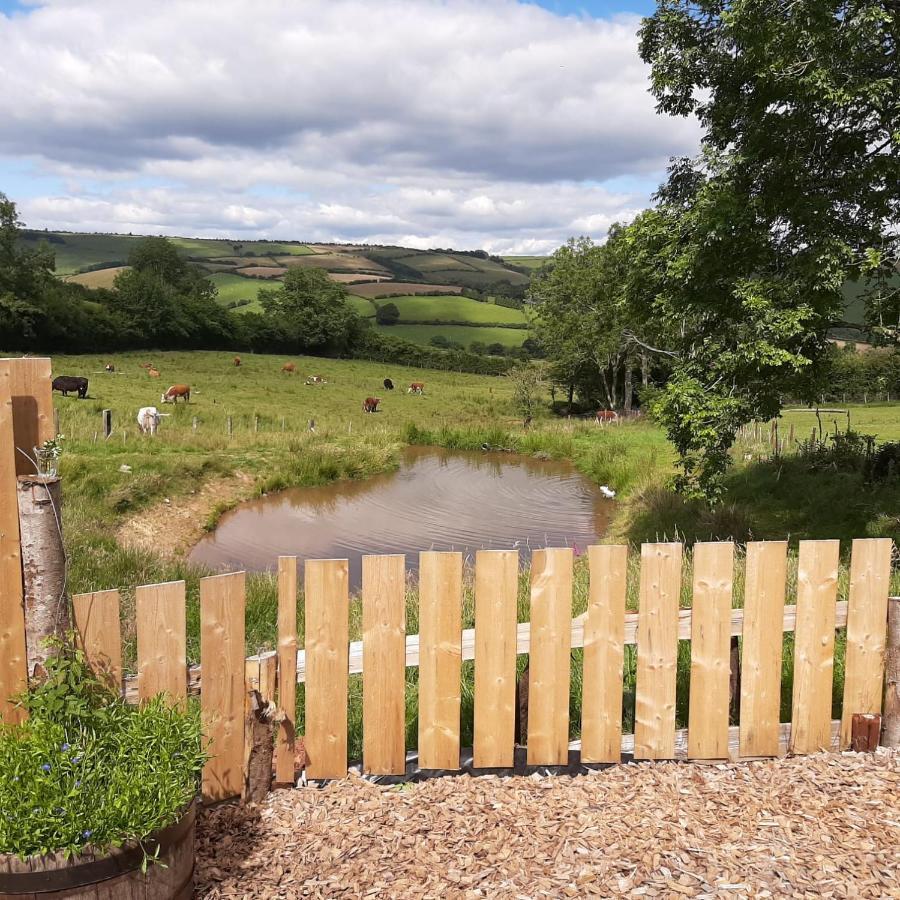 Foxglove Accommodation Craven Arms Esterno foto
