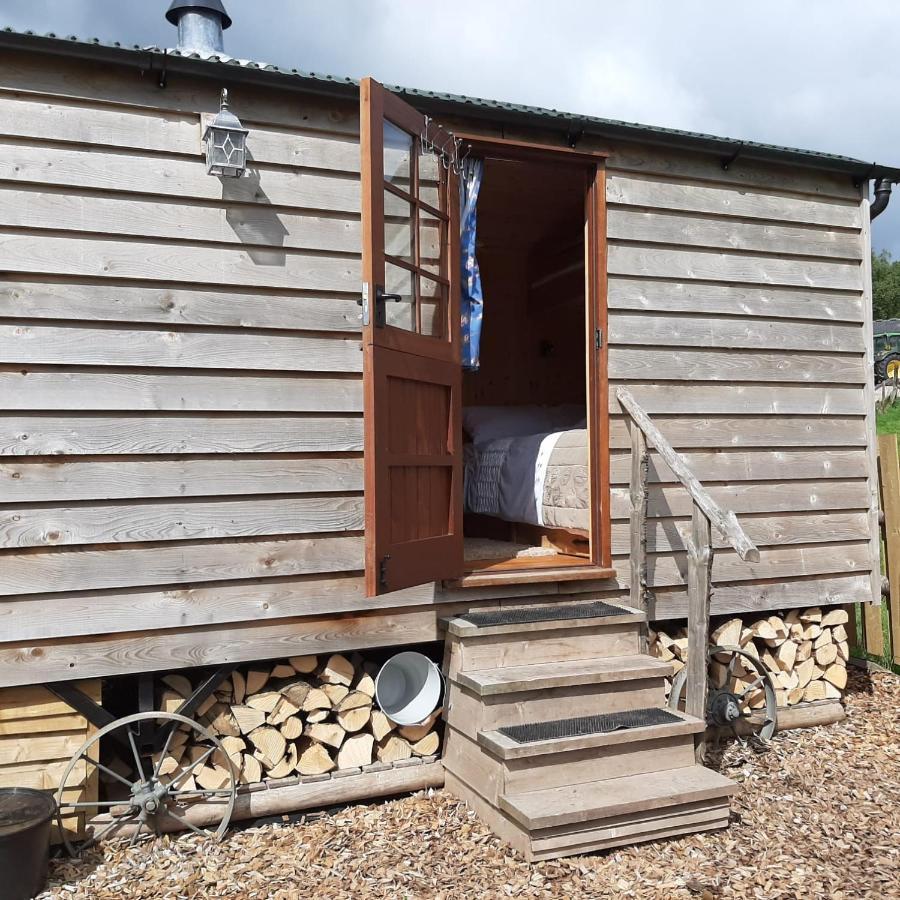 Foxglove Accommodation Craven Arms Esterno foto