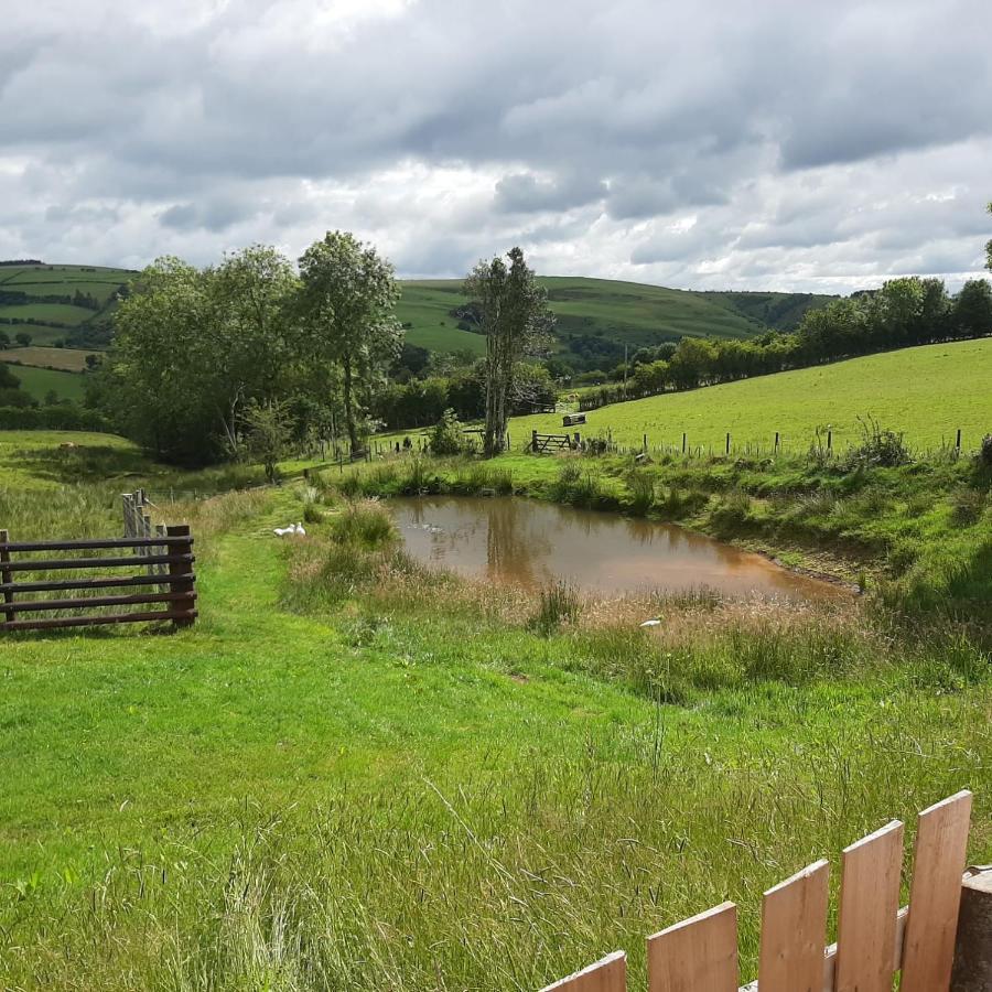Foxglove Accommodation Craven Arms Esterno foto