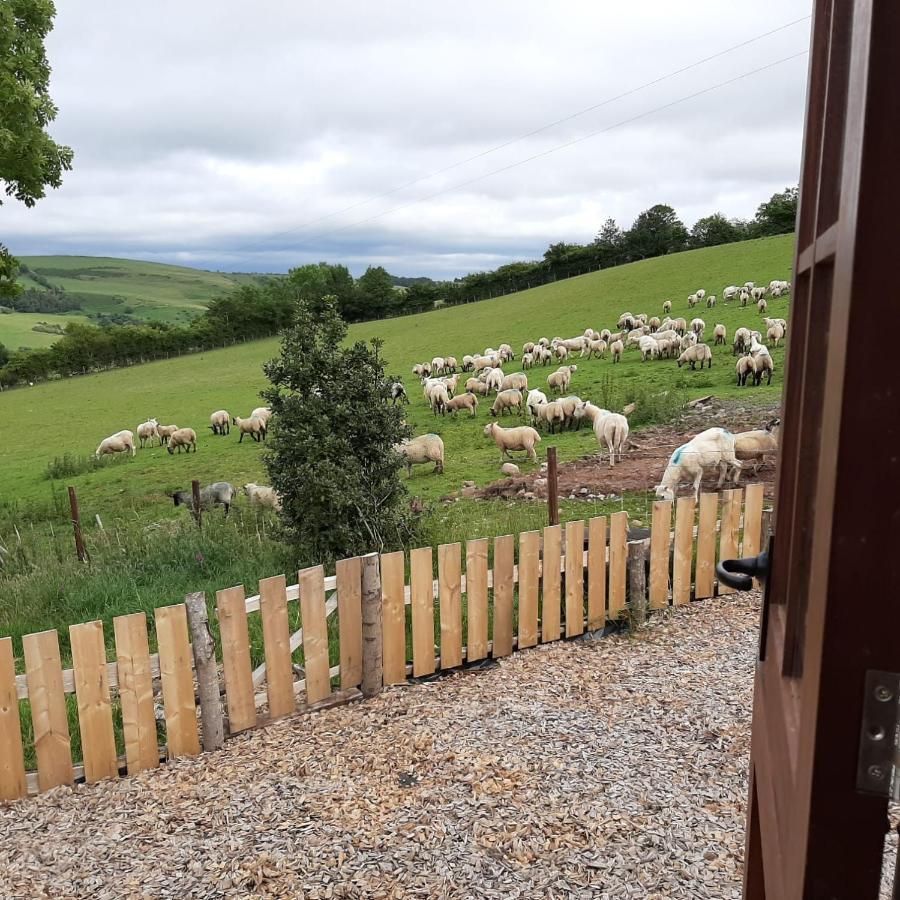 Foxglove Accommodation Craven Arms Esterno foto