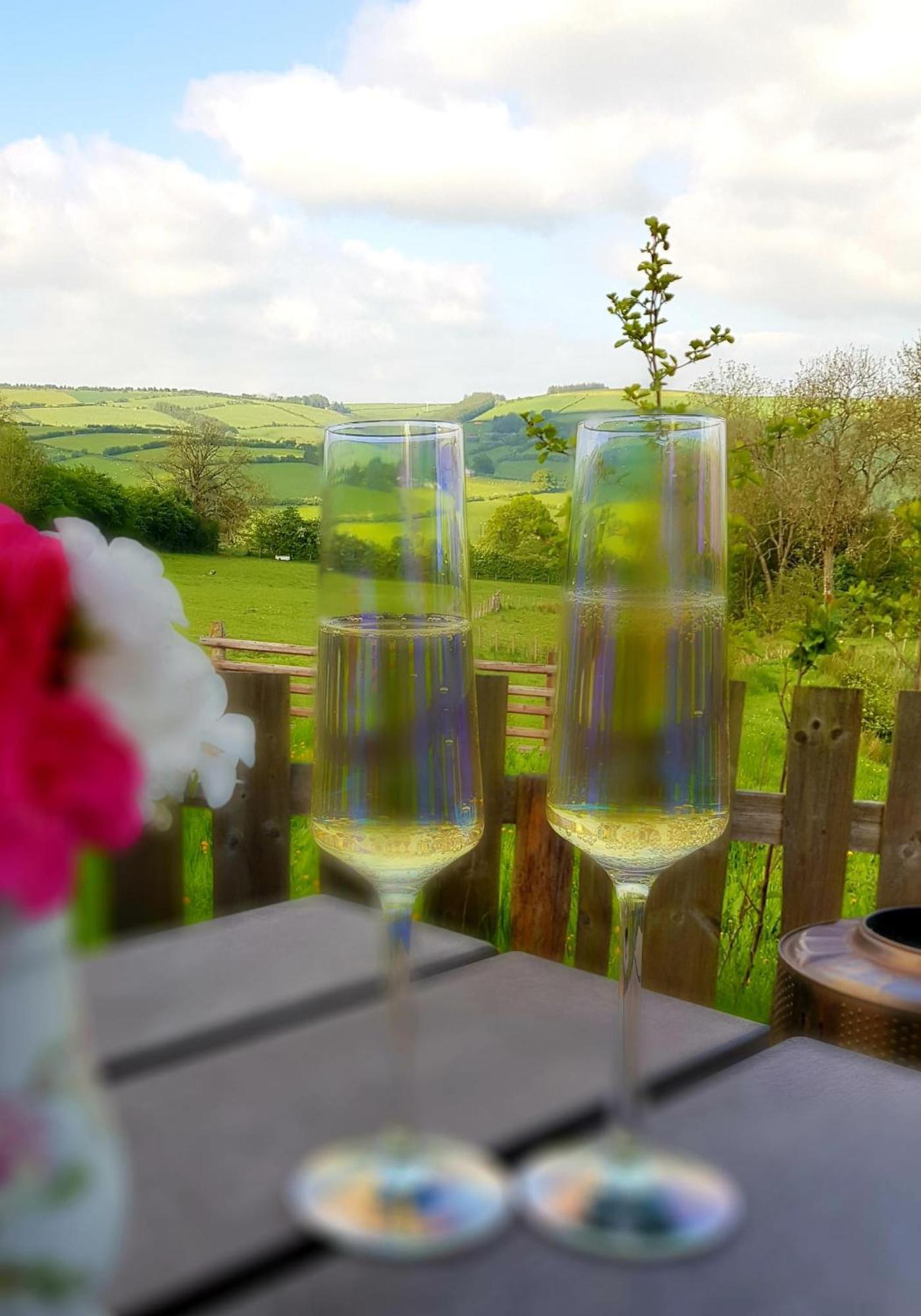Foxglove Accommodation Craven Arms Esterno foto