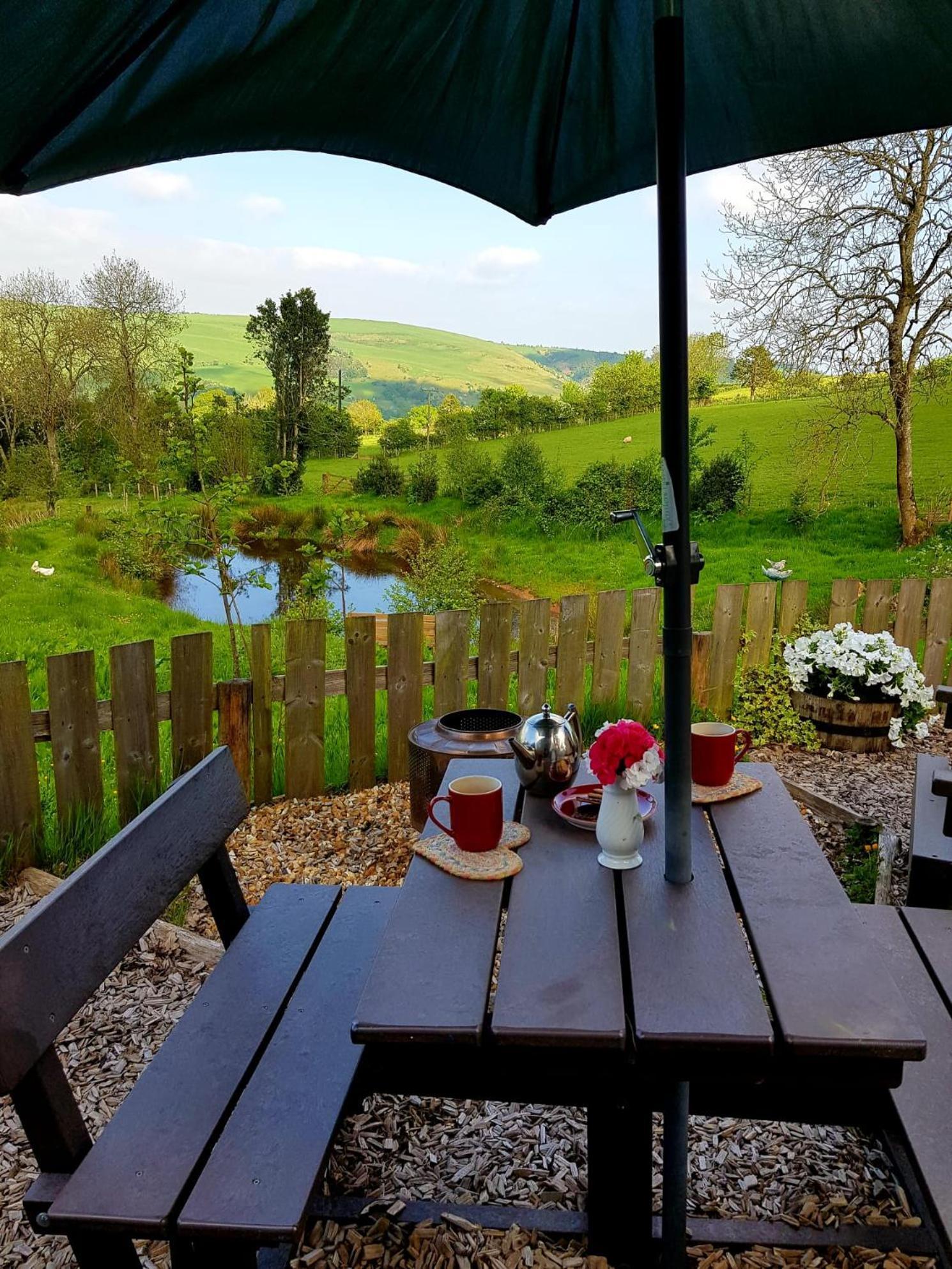 Foxglove Accommodation Craven Arms Esterno foto